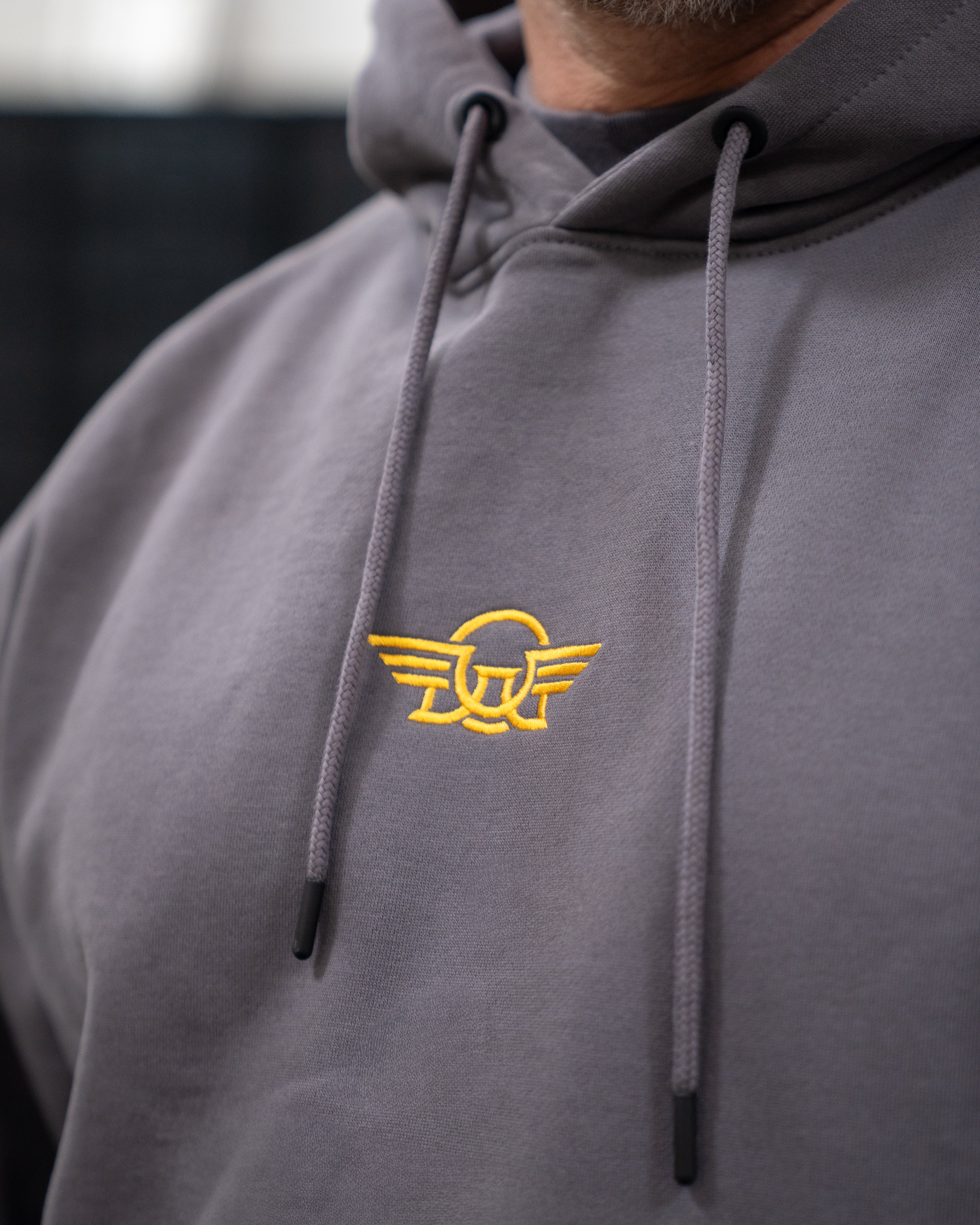 ESAF Hoodie Basaltgrau